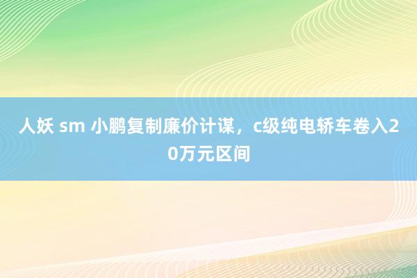 人妖 sm 小鹏复制廉价计谋，c级纯电轿车卷入20万元区间