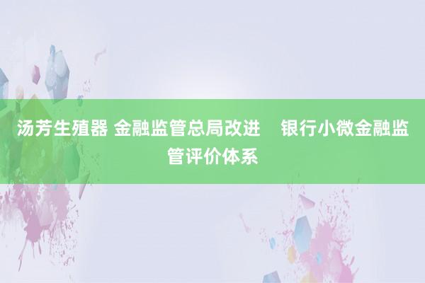 汤芳生殖器 金融监管总局改进    银行小微金融监管评价体系