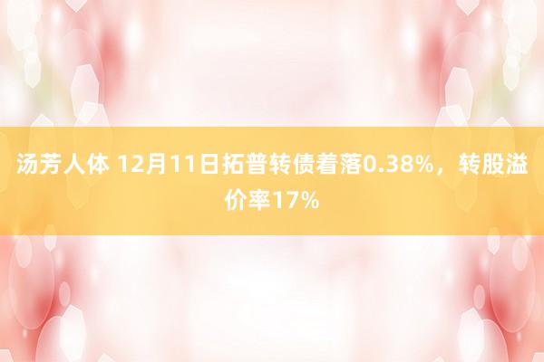 汤芳人体 12月11日拓普转债着落0.38%，转股溢价率17%