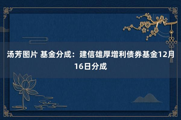 汤芳图片 基金分成：建信雄厚增利债券基金12月16日分成