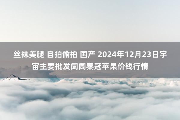 丝袜美腿 自拍偷拍 国产 2024年12月23日宇宙主要批发阛阓秦冠苹果价钱行情