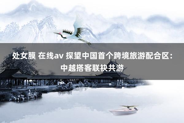 处女膜 在线av 探望中国首个跨境旅游配合区：中越搭客联袂共游