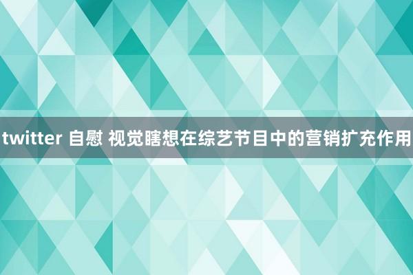 twitter 自慰 视觉瞎想在综艺节目中的营销扩充作用