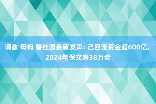 调教 母狗 碧桂园最新发声: 已回笼资金超600亿， 2024年保交房38万套