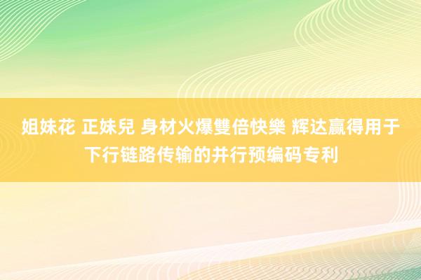 姐妹花 正妹兒 身材火爆雙倍快樂 辉达赢得用于下行链路传输的并行预编码专利