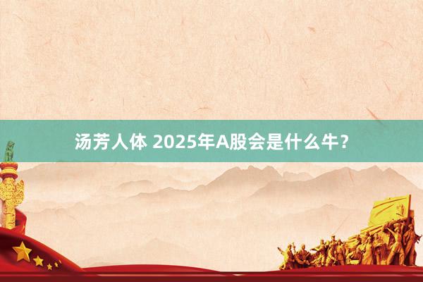 汤芳人体 2025年A股会是什么牛？