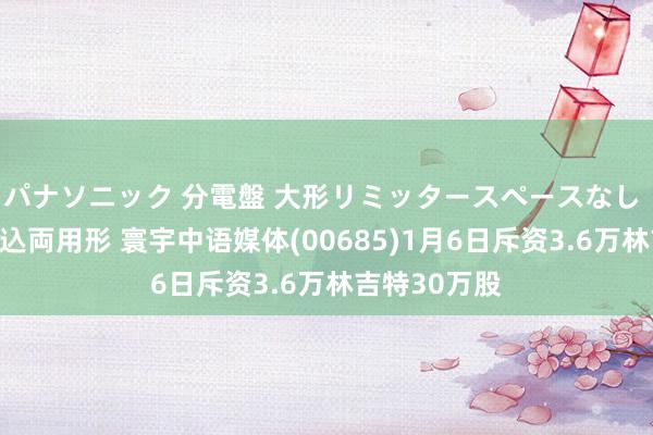 パナソニック 分電盤 大形リミッタースペースなし 露出・半埋込両用形 寰宇中语媒体(00685)1月6日斥资3.6万林吉特30万股