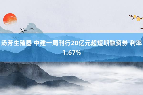 汤芳生殖器 中建一局刊行20亿元超短期融资券 利率1.67%