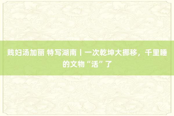 贱妇汤加丽 特写湖南丨一次乾坤大挪移，千里睡的文物“活”了