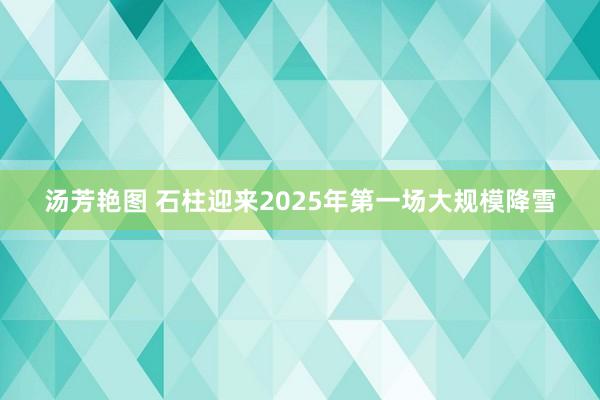 汤芳艳图 石柱迎来2025年第一场大规模降雪