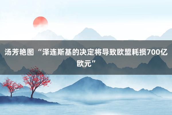 汤芳艳图 “泽连斯基的决定将导致欧盟耗损700亿欧元”