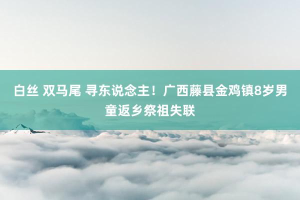 白丝 双马尾 寻东说念主！广西藤县金鸡镇8岁男童返乡祭祖失联