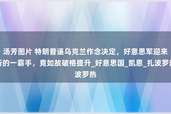 汤芳图片 特朗普逼乌克兰作念决定，好意思军迎来新的一霸手，竟如故破格提升_好意思国_凯恩_扎波罗热