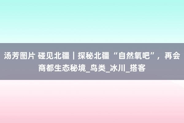 汤芳图片 碰见北疆｜探秘北疆 “自然氧吧”，再会商都生态秘境_鸟类_冰川_搭客